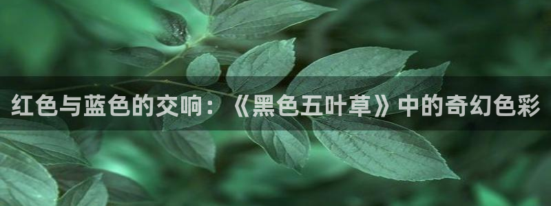 囧次元官方网站：红色与蓝色的交响：《黑色五叶草》中的奇幻色彩