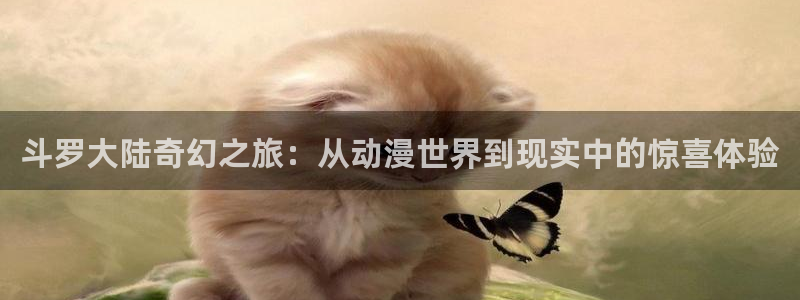 囧次元正版入口：斗罗大陆奇幻之旅：从动漫世界到现实中的惊喜体验